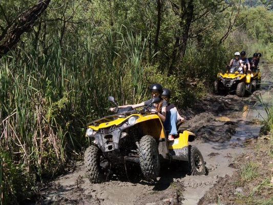 Istanbul Quad Safari