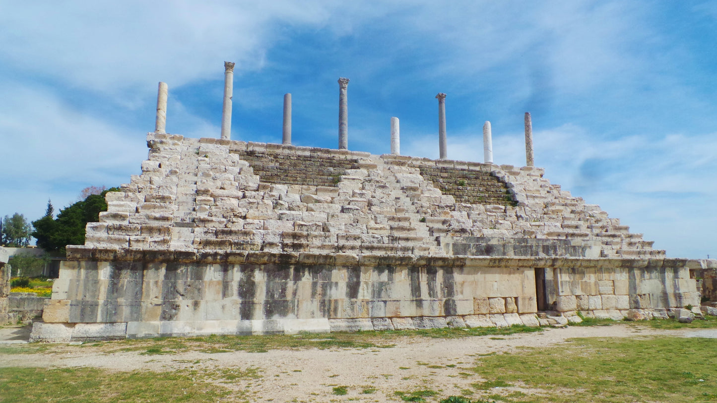 From Beirut: Full-Day Private Tour to Saida and Tyre