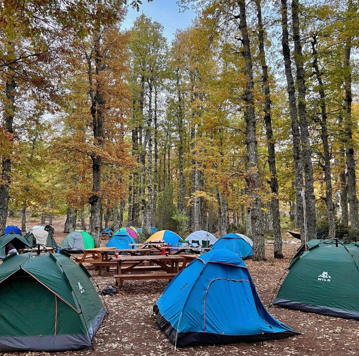 Private Camping Experience in Lebanon