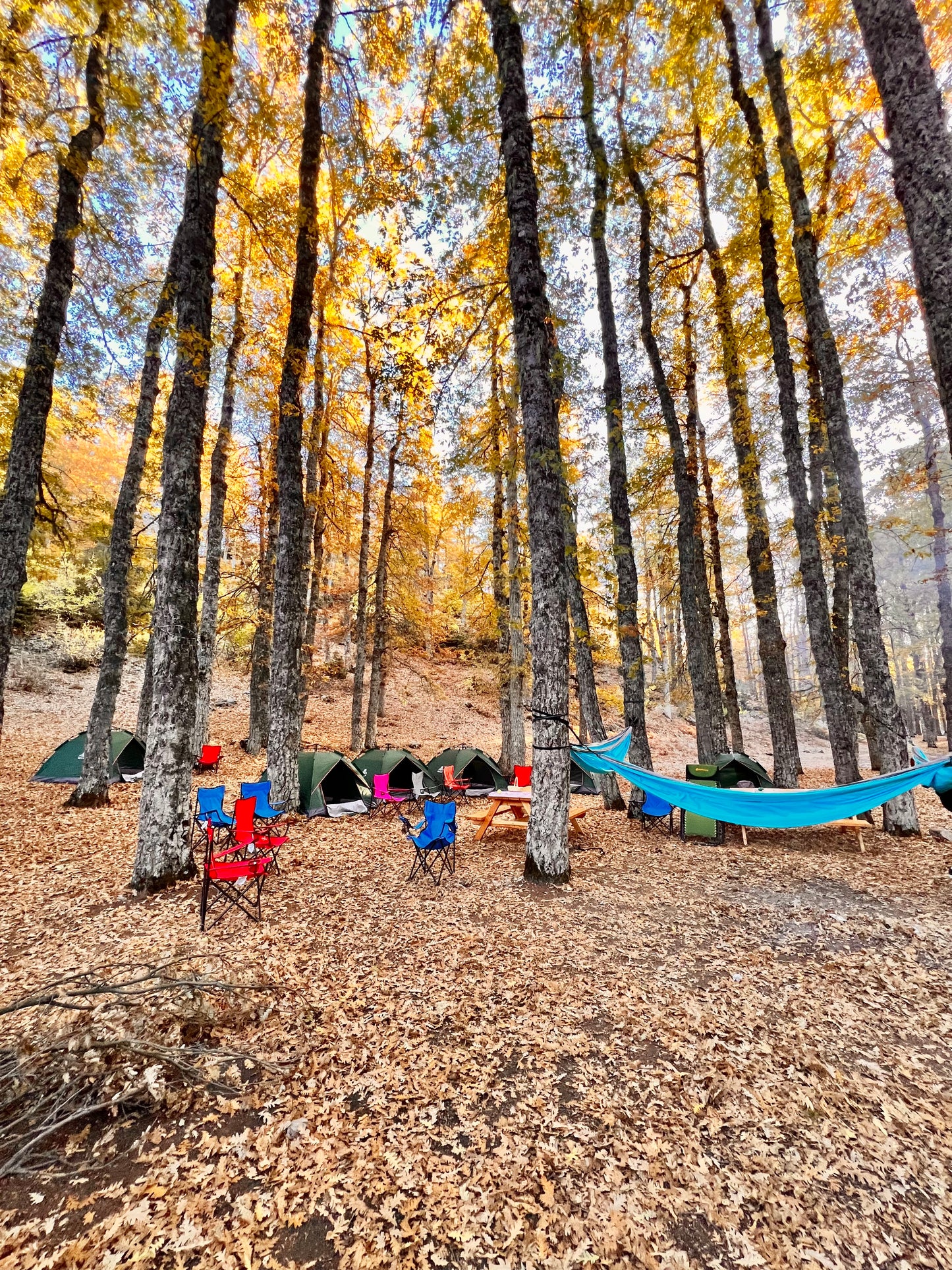 Private Camping Experience in Lebanon