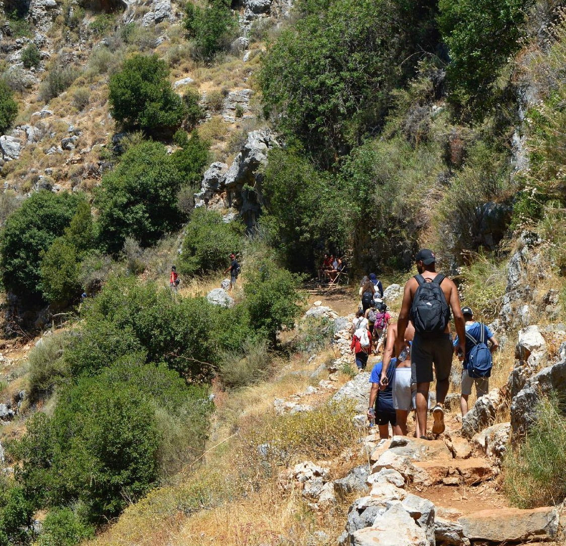 From Beirut: Full-Day Private Trip to Kfarhelda Waterfalls