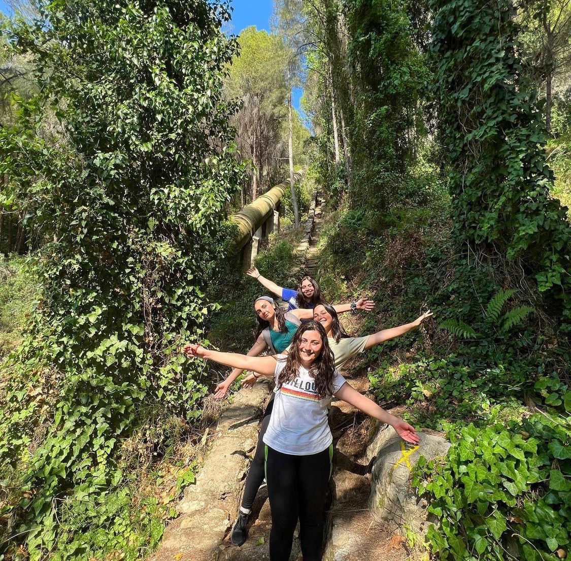 From Beirut: Full-Day Private Trip to Kfarhelda Waterfalls