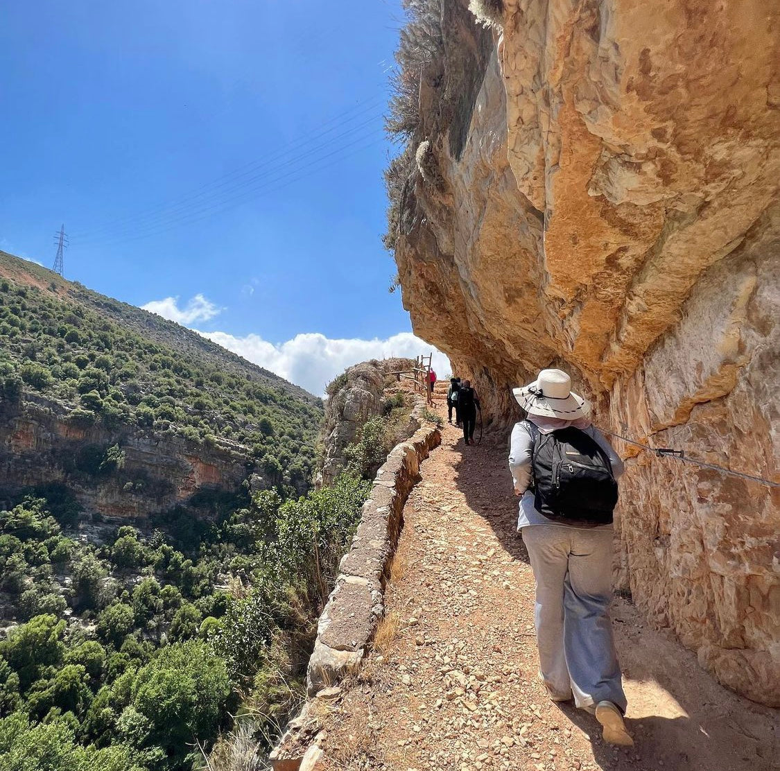 From Beirut: Full-Day Private Trip to Kfarhelda Waterfalls