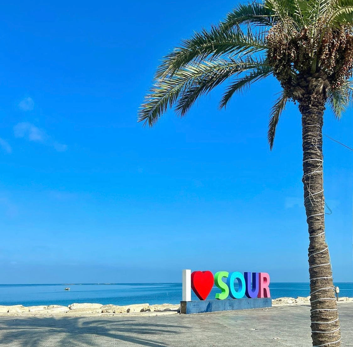 From Beirut: Full-Day Private Tour to Saida and Tyre