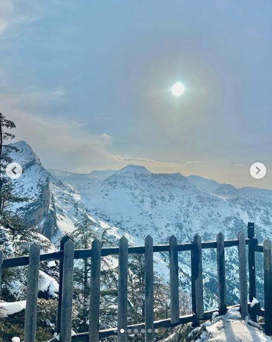 Tannourine Cedar Reserve Snow Hike & Gazelle Reserve