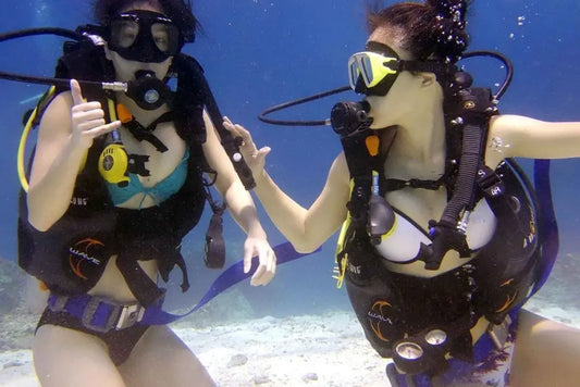 Scuba Diving Experience with Lunch & Pick up