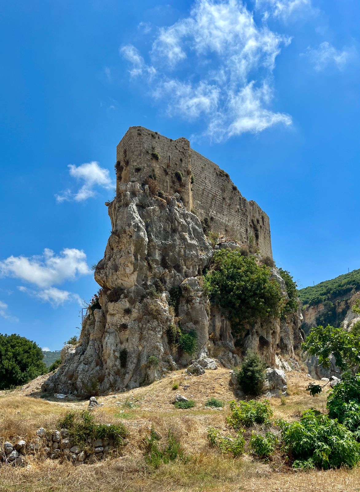 From Beirut: Full-Day Private Tour to Batroun and Mseilha