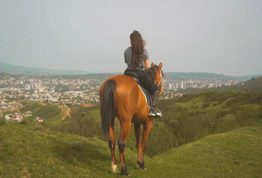 Horseback Riding Experience