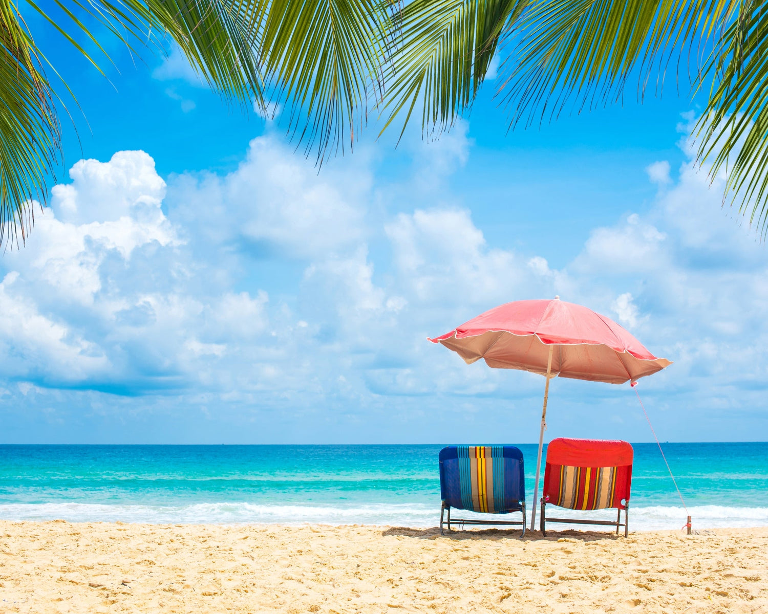 Summer Packages
