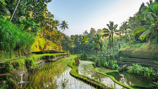 Bali Honeymoon Packages
