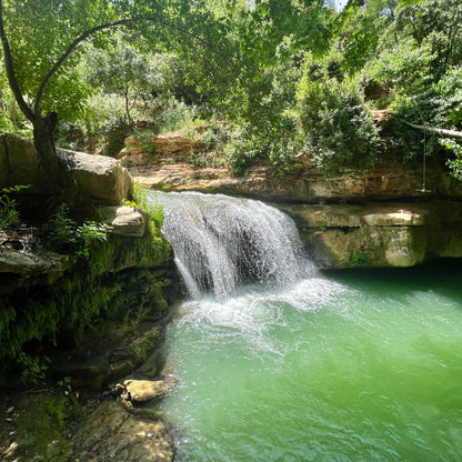From Beirut: Full-Day Private Tour to Al Shouf