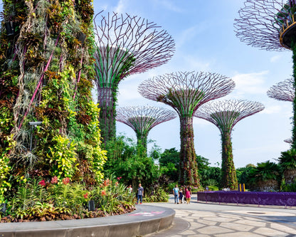 Singapore Visa