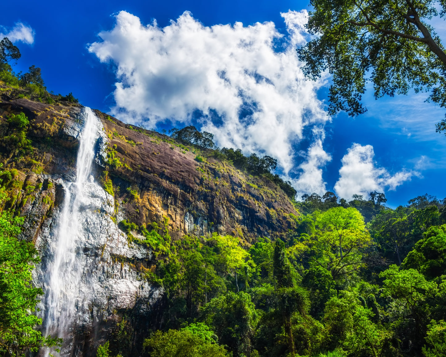 Sri Lanka Visa