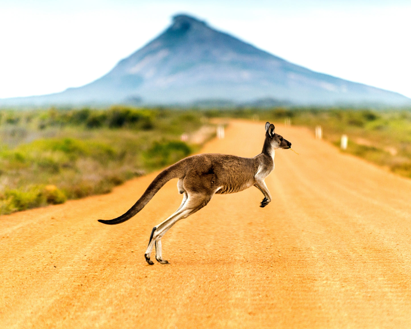 Australia Visa