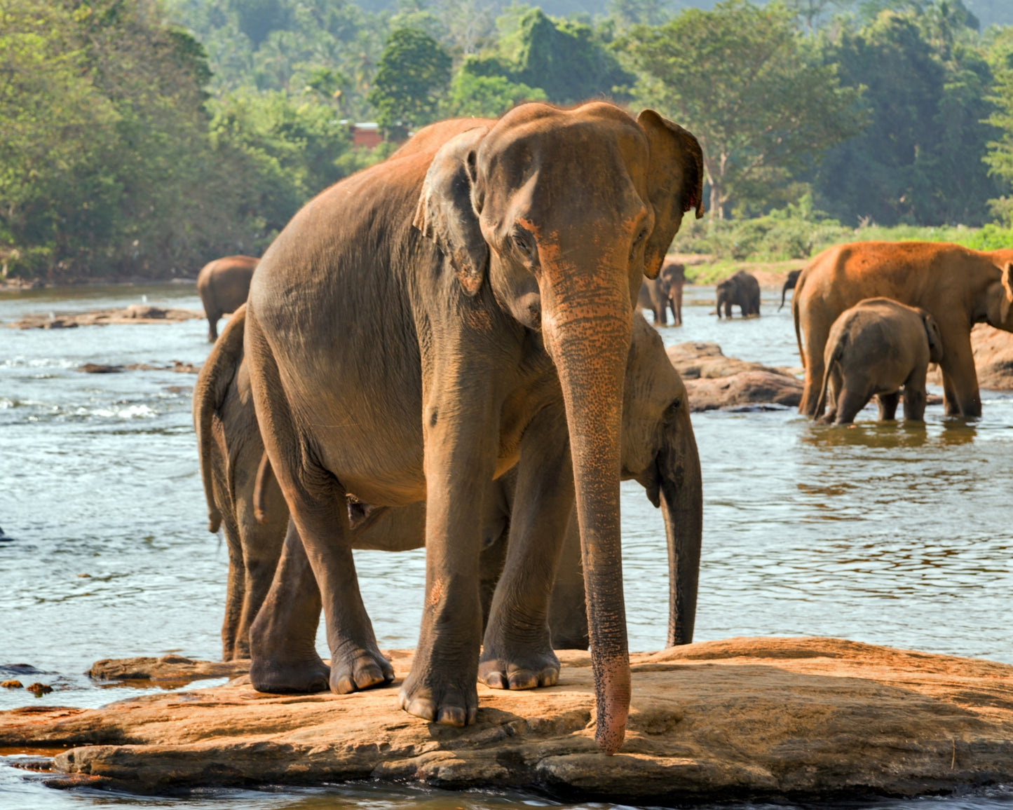 Sri Lanka Visa