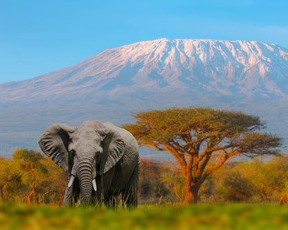 Tanzania Visa