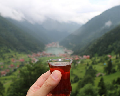 Turkey Visa (For Non-Lebanese)