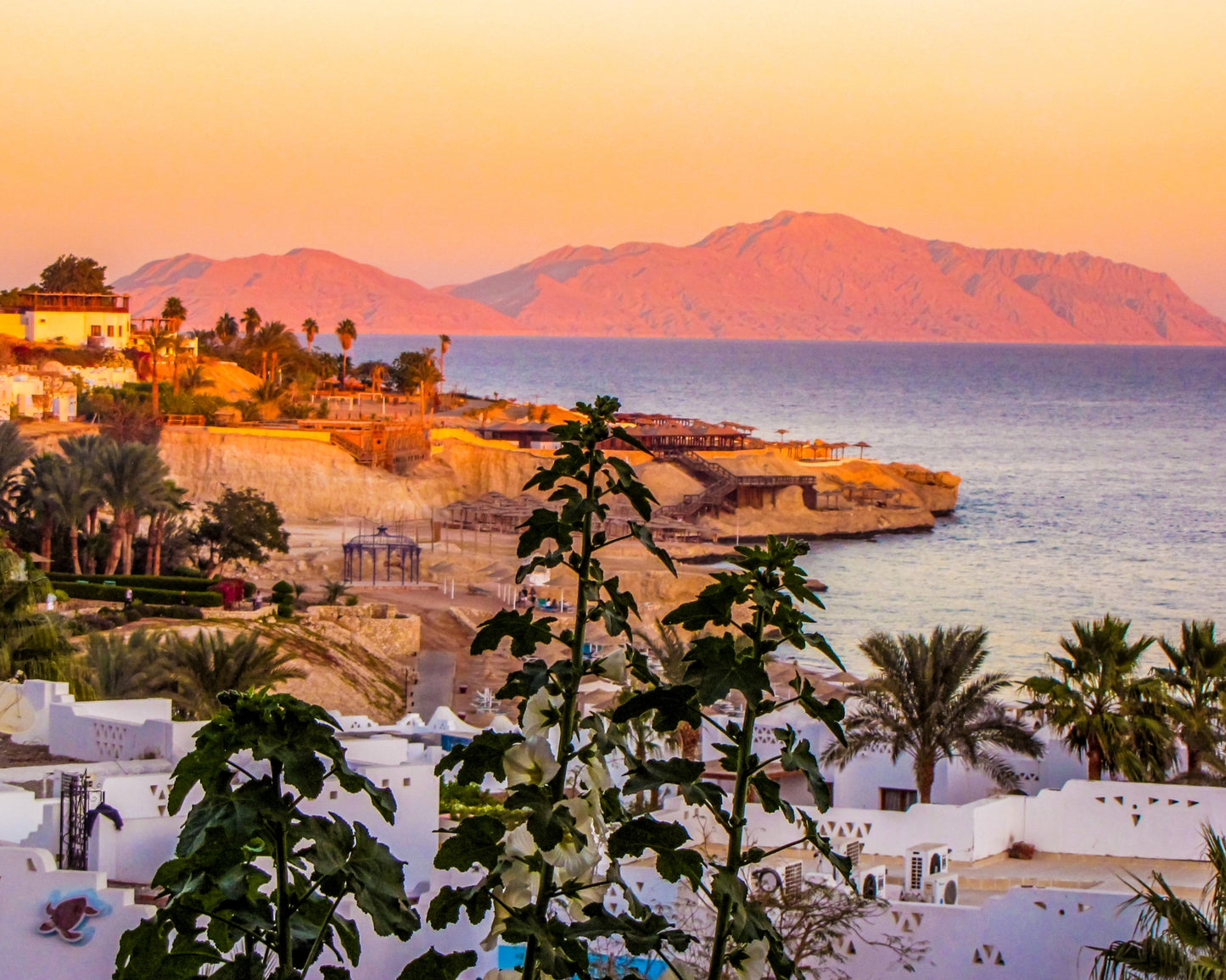 Egypt Visa