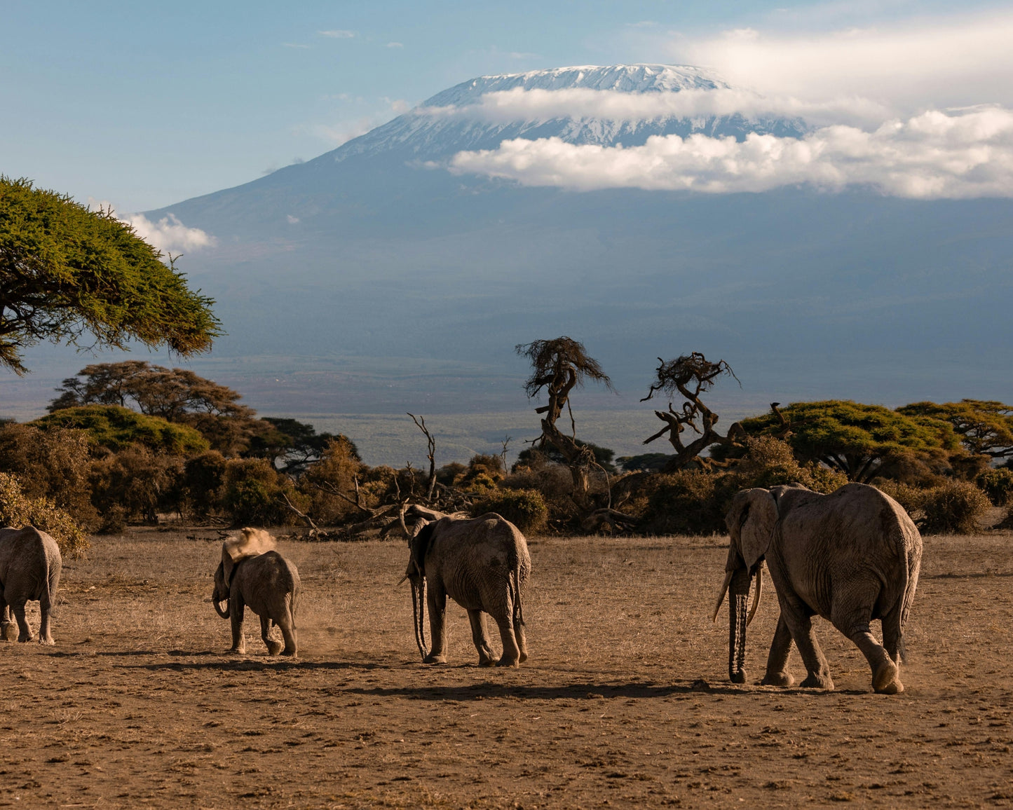 Tanzania Visa