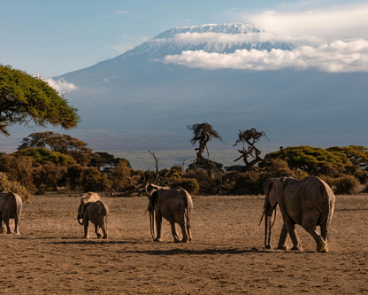 Tanzania Visa