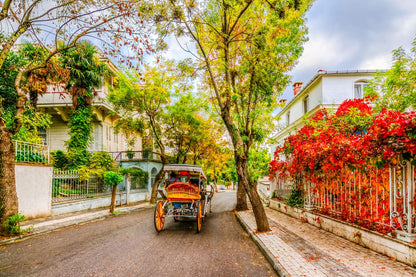 Princess Island Tour from Istanbul