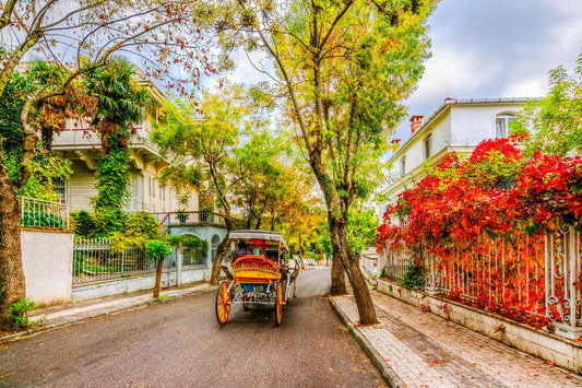 Princess Island Tour from Istanbul
