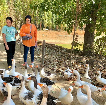 From Beirut: Full-Day Private Tour to Baalbek, Taanayel and Assi River