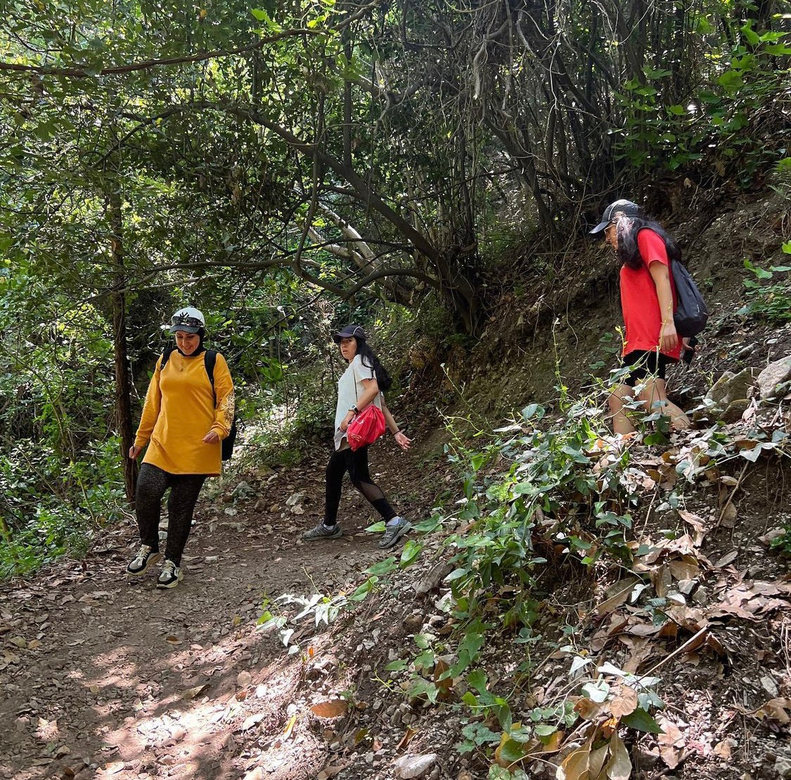 From Beirut: Full-Day Private Trip to Chouwen Lake