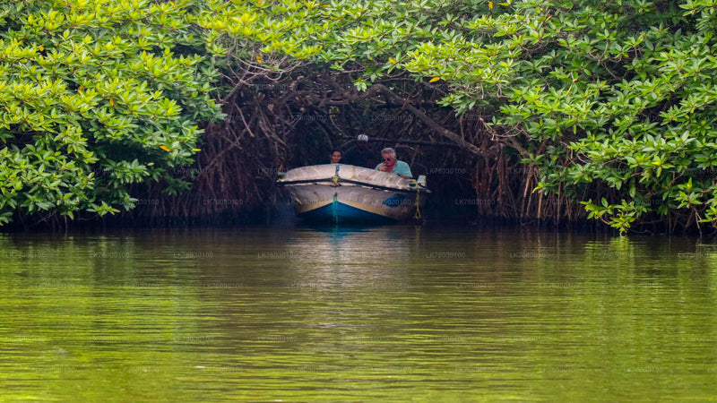 Day 5 – Sri Lanka