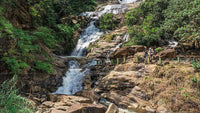 Day 5 – Ella To Yala To Mirissa | Safari & Coastal Escape