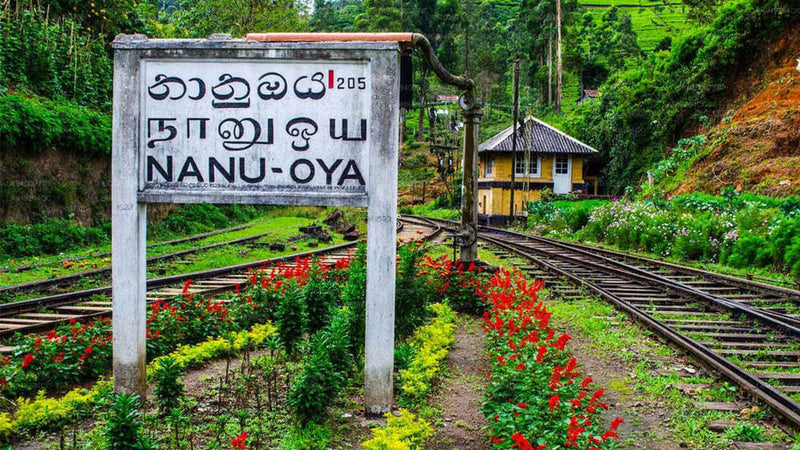 Day 3 – Nuwara Eliya to Ella | Scenic Train Romance