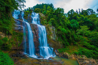Day 2 – Negombo to Nuwara Eliya | Into the Misty Hills