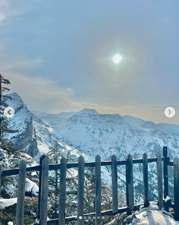 Tannourine Cedar Reserve Snow Hike & Gazelle Reserve