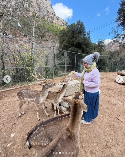 Tannourine Cedar Reserve Snow Hike & Gazelle Reserve