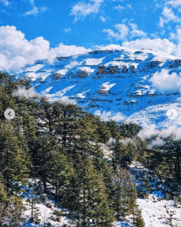 Tannourine Cedar Reserve Snow Hike & Gazelle Reserve