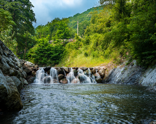 Sapanca & Masukiye Tour from Istanbul
