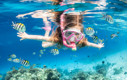 White Island & Ras Mohamed Cruise Adventure