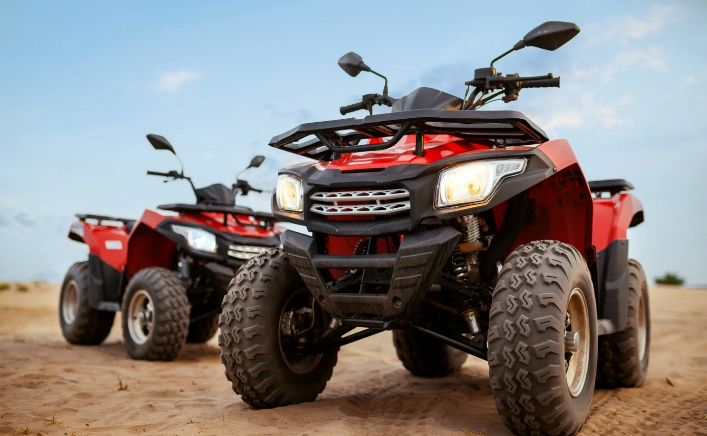 ATV, Camel Ride with BBQ Dinner and Show