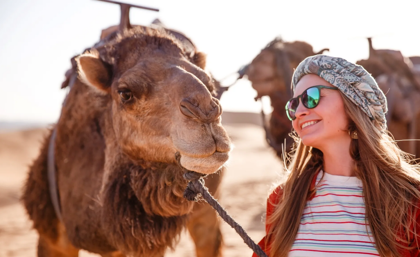 ATV, Camel Ride with BBQ Dinner and Show
