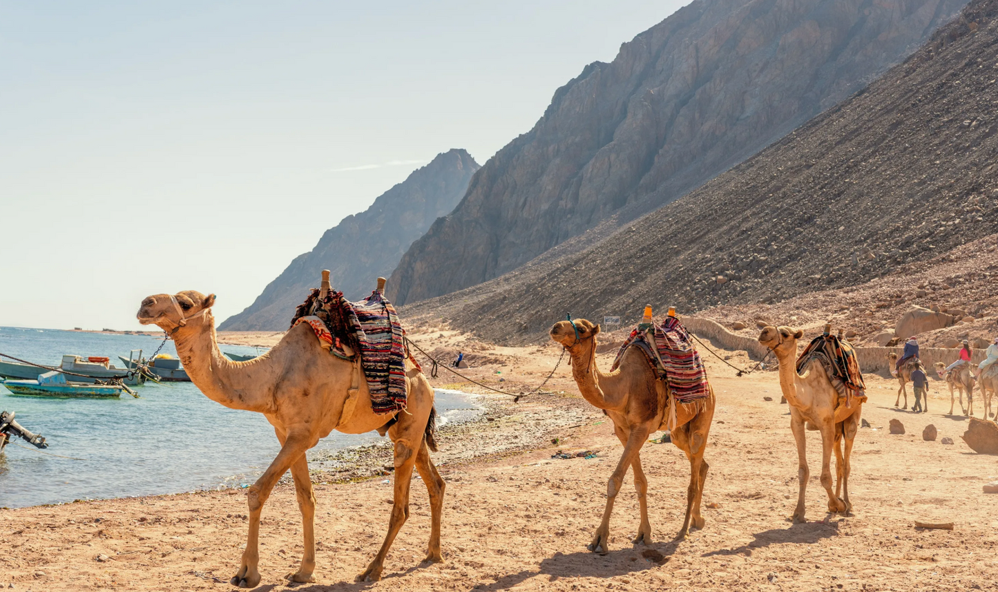 Colored Canyon, Blue Hole & Dahab Day Trip