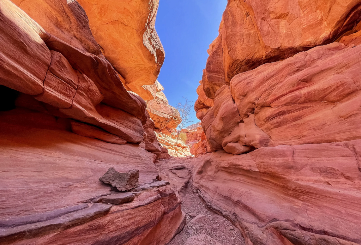 Colored Canyon, Blue Hole & Dahab Day Trip