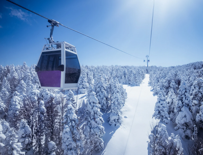Istanbul Bursa Tour with Cable Car Ride & Uludag Mountain