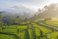 Day 5: From Ubud's Heritage to Seminyak's Vibrance