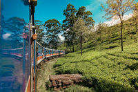 Day 3 – Nuwara Eliya to Ella | Scenic Train Romance