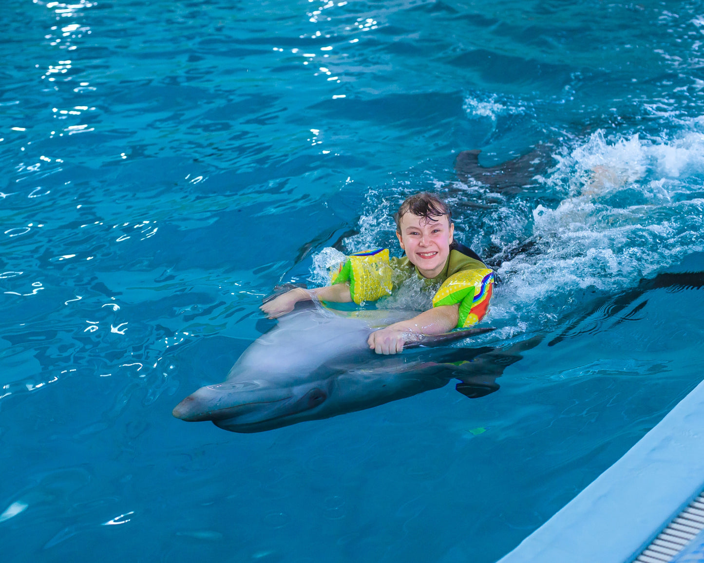 Dolphin Show & Optional Swimming With Dolphins