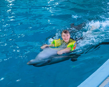 Dolphin Show & Optional Swimming With Dolphins