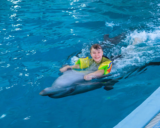 Dolphin Show & Optional Swimming With Dolphins