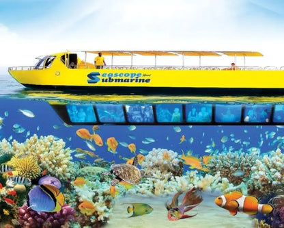 Seascope Submarine Cruise