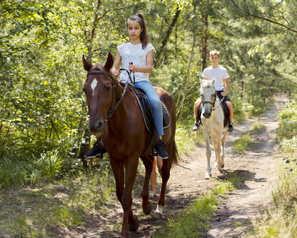 Horseback Riding Experience