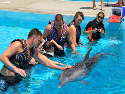 Alanya Dolphin Show: A Delight for All Ages